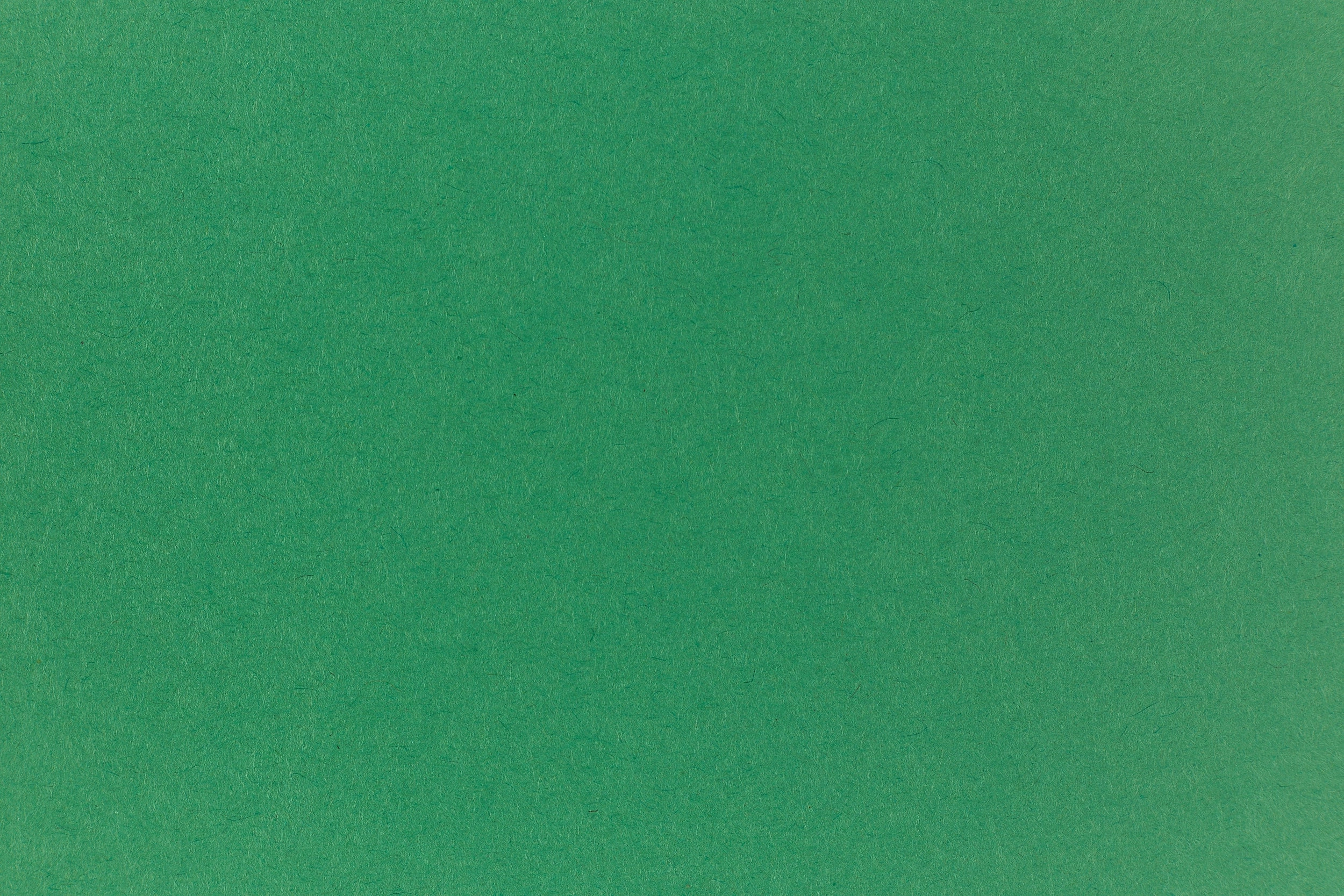 elegant earthy Green Light Cardstock (Glo-Tone, Cover Weight)