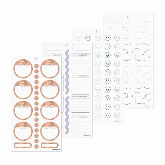 Happy Planner Classic Sticker Value Pack - Reflect & Grow solid metallic