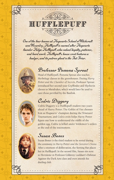 synthetic solid Harry Potter: Hufflepuff Ruled Notebook