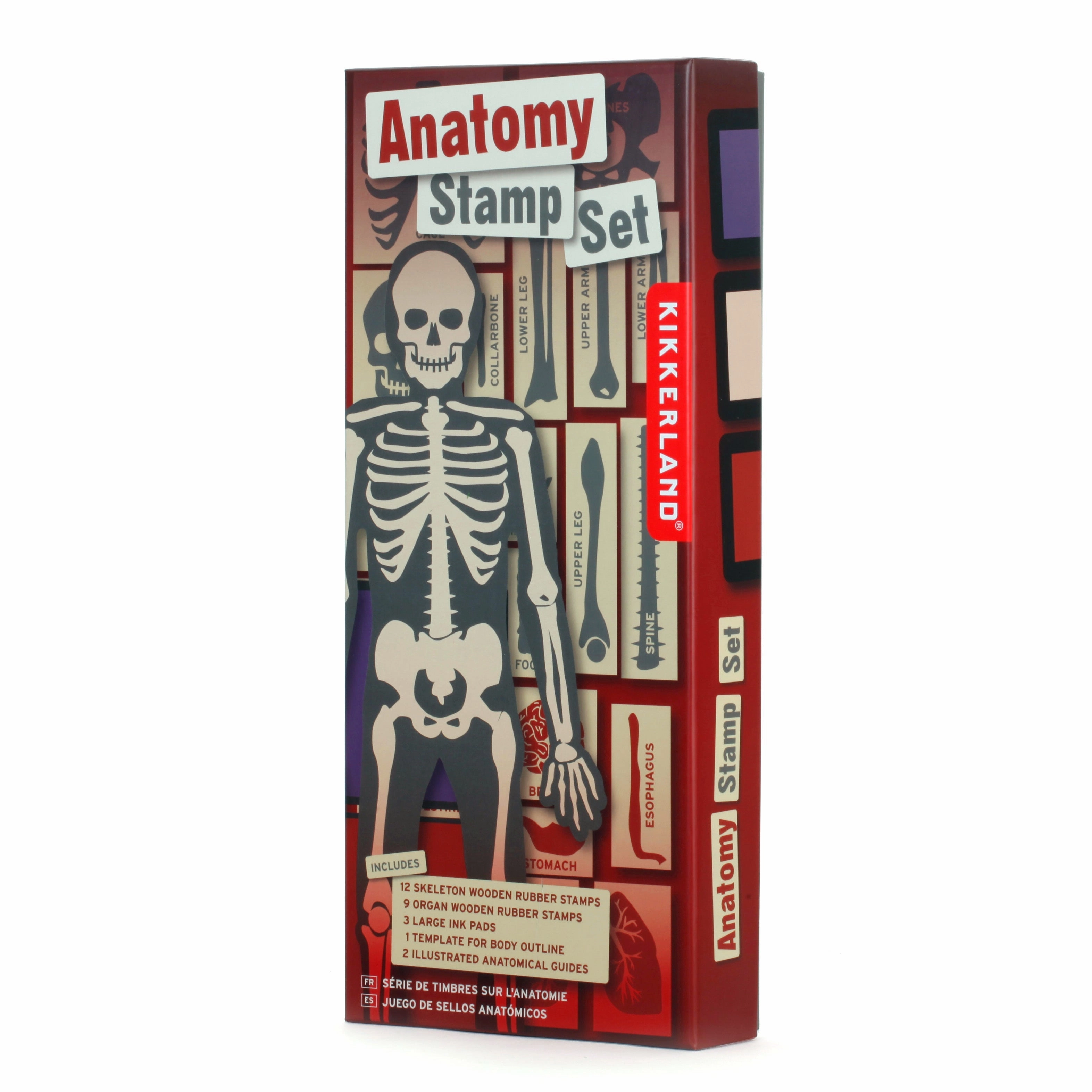 Anatomy Stamp Set bronze quality