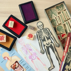 luxury Anatomy Stamp Set