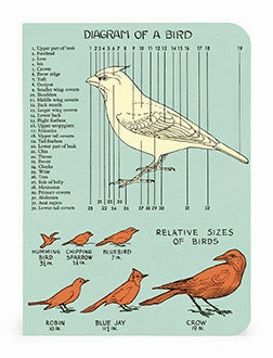 Cavallini & Co. Bird Watching Mini Notebook Set solid