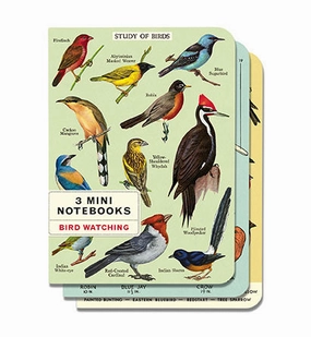 earthy Cavallini & Co. Bird Watching Mini Notebook Set