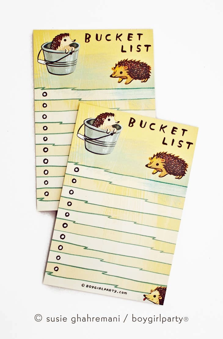 vintage Hedgehog Bucket List Note Pad