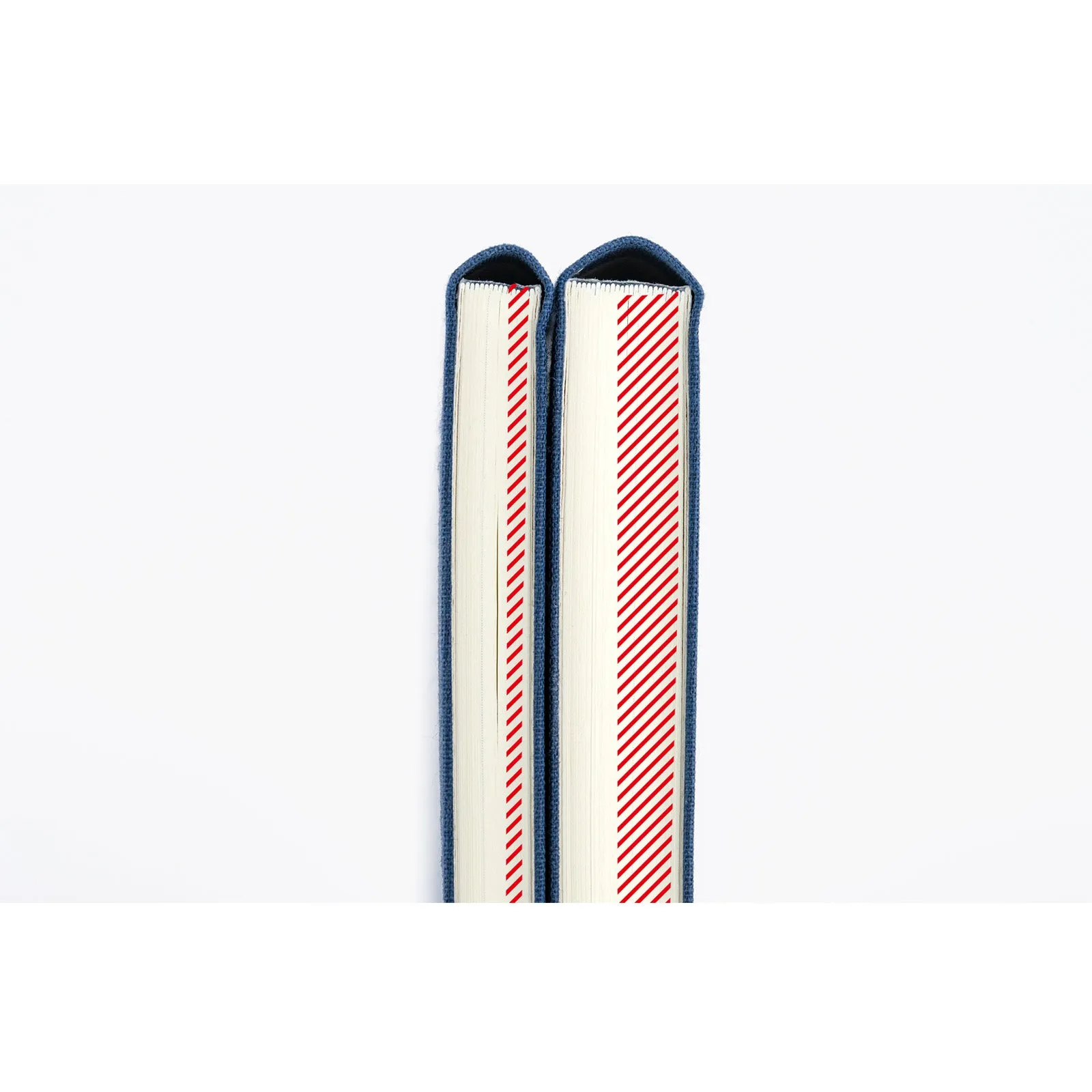 biodegradable refillable Hobonichi 2025 Weeks Mega Colors Pistachio