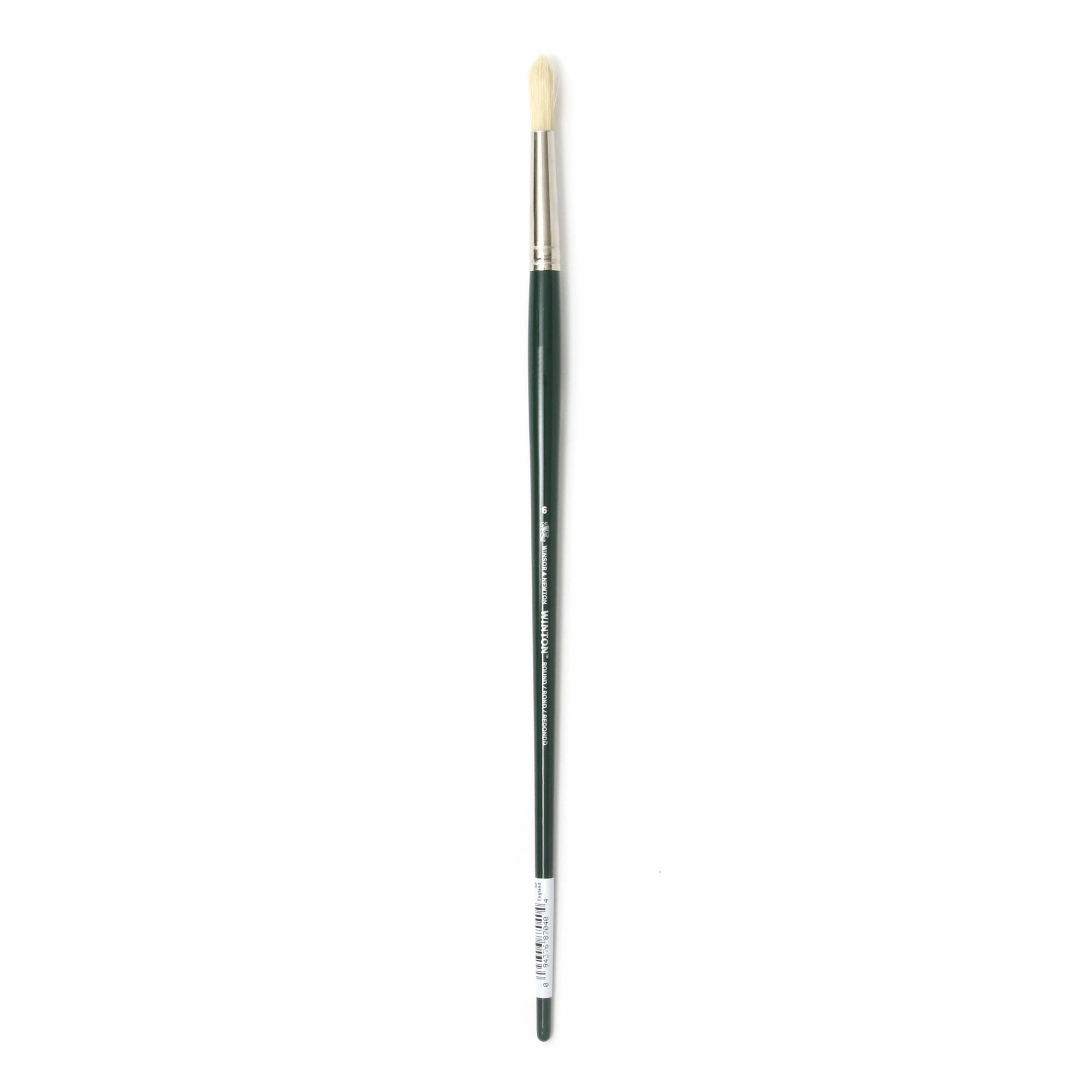 Hog Bristles Round Paintbrush handy