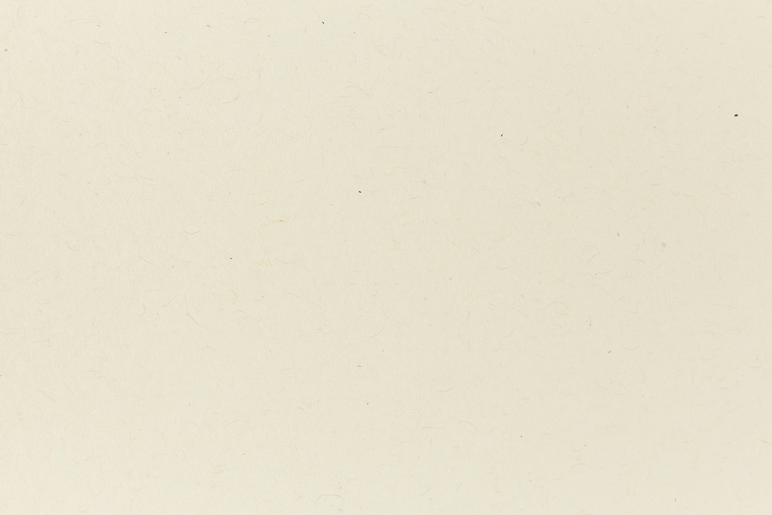 giant new Index Off-White Kraft Envelope (Kraft-Tone)