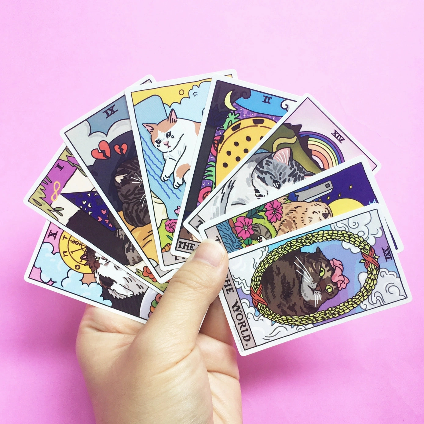 economical King Of Wands Tarot Cat Meme Stickers (Minor Arcana)