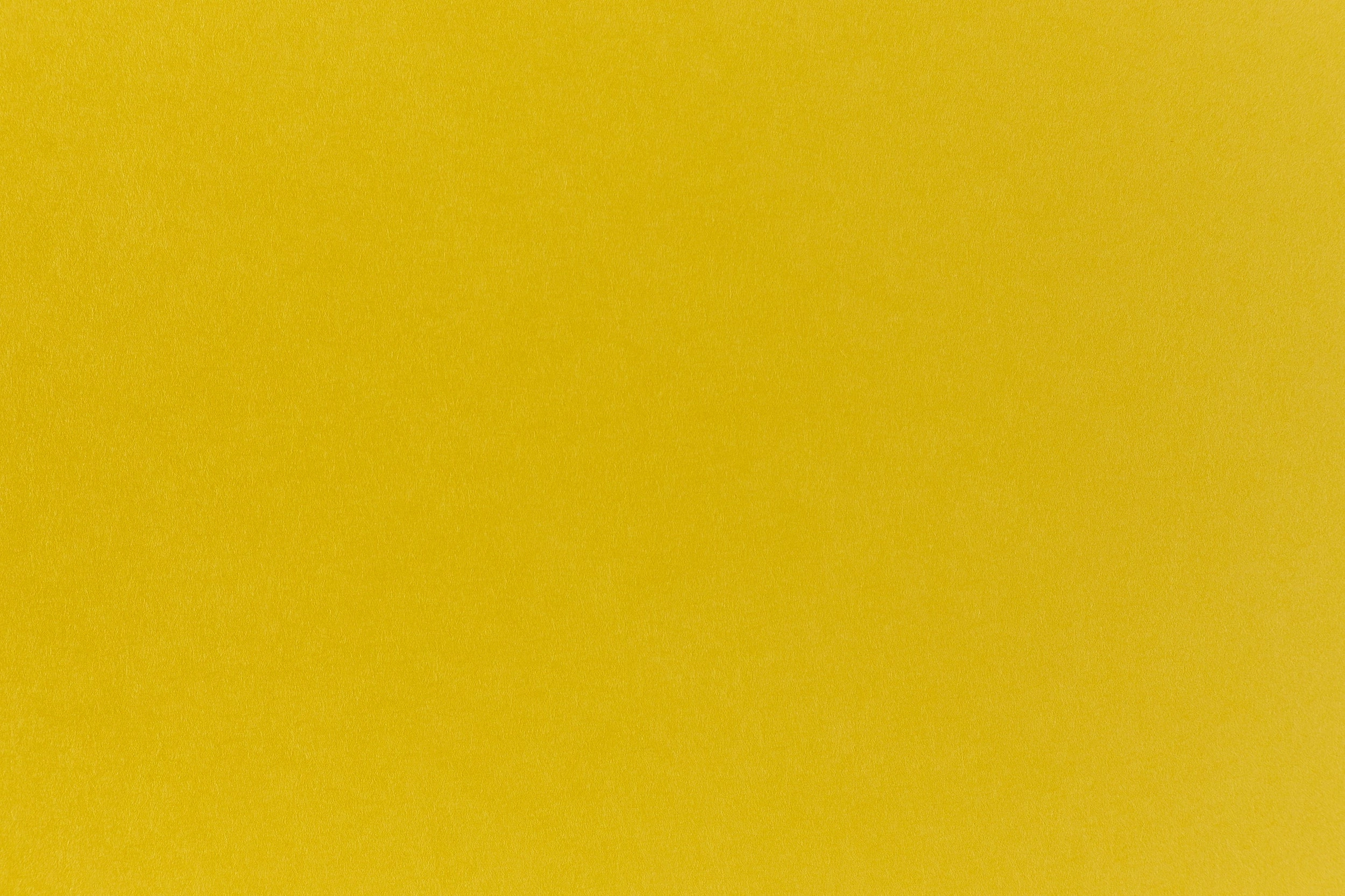 versatile modern Lemon Drop Envelope (Pop-Tone)