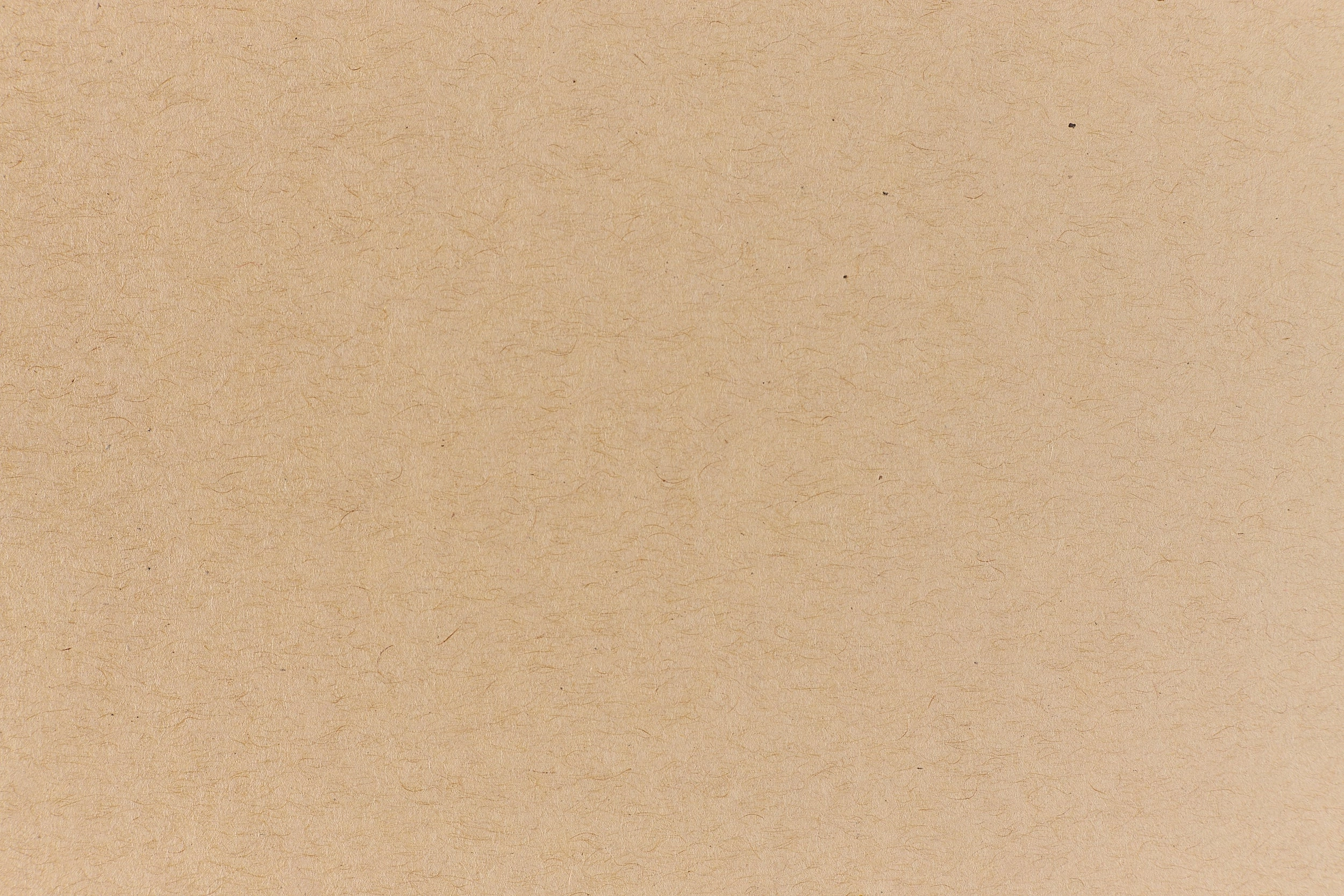 Kraft Cardstock (Muscletone, Cover Weight) collapsible essential