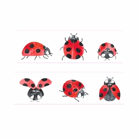 seasonal warm Ladybug Washi Tape
