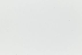 leather adjustable Starch Rain Cardstock (Speckletone, Cover Weight)