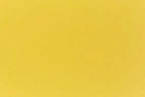 Shocking Yellow Envelope (Glo-Tone) daily elegant