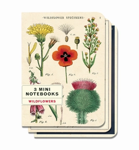 colorful paper Cavallini & Co. Wildflower Specimens Mini Notebook Set