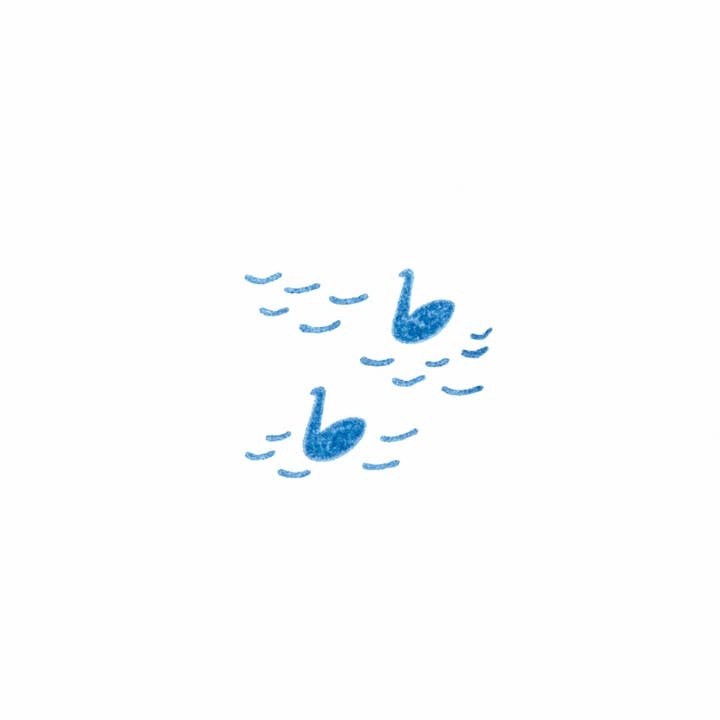 Kori Jirushi Crystal Clarity Stamp- Swans seasonal collapsible