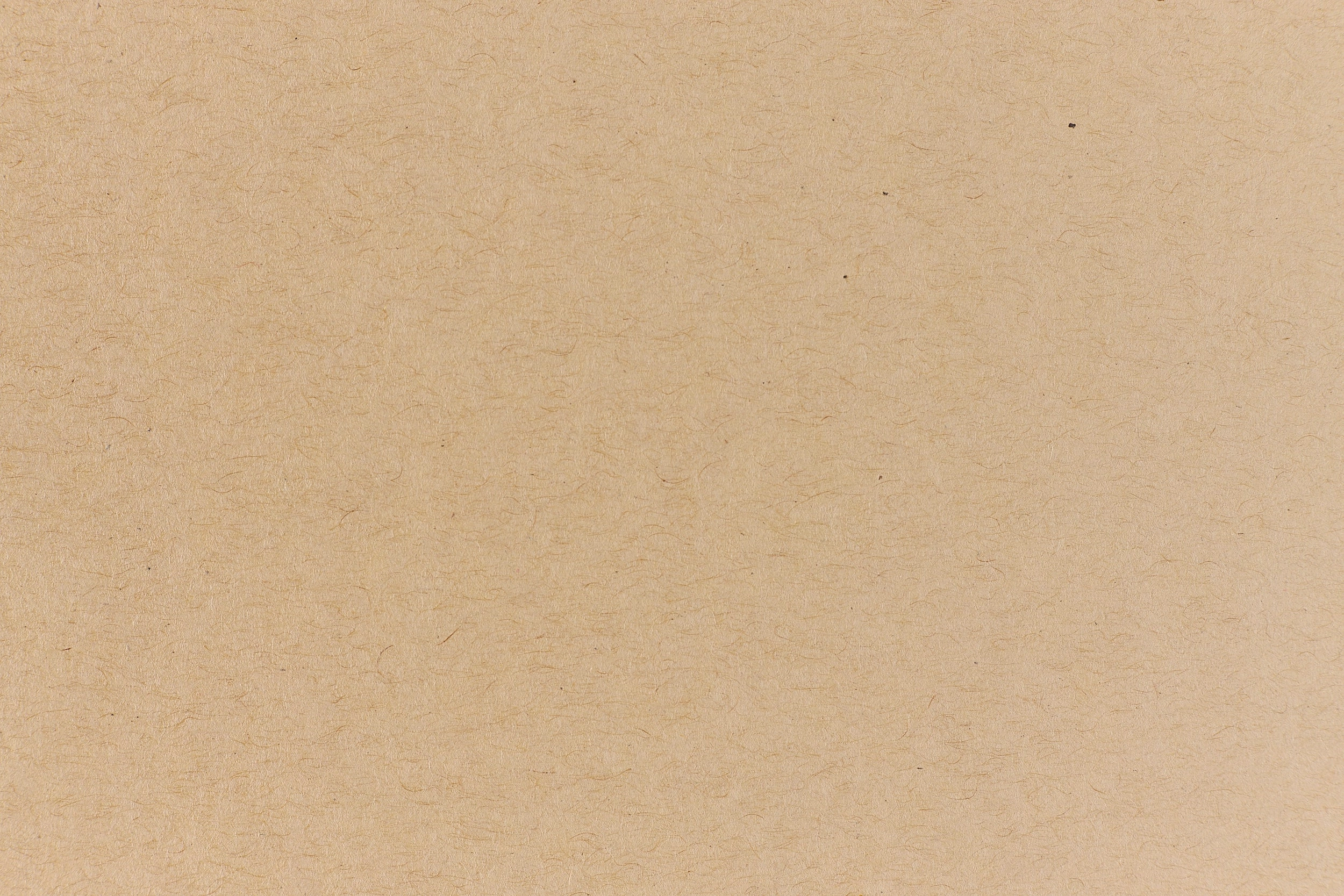 retro Kraft Envelope (Speckletone)
