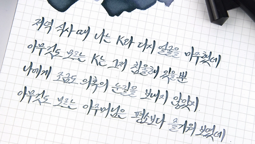 leather wrapped Wearingeul The Mind (Natsume Soseki) Ink, 30Ml