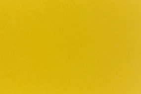 Lemon Drop Cardstock (Pop-Tone, Cover Weight) trendy