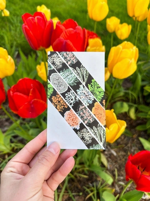 Lichen Washi Tape elegant synthetic