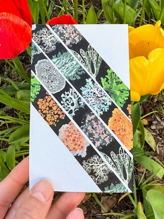 Lichen Washi Tape exclusive