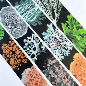 Lichen Washi Tape essential stackable