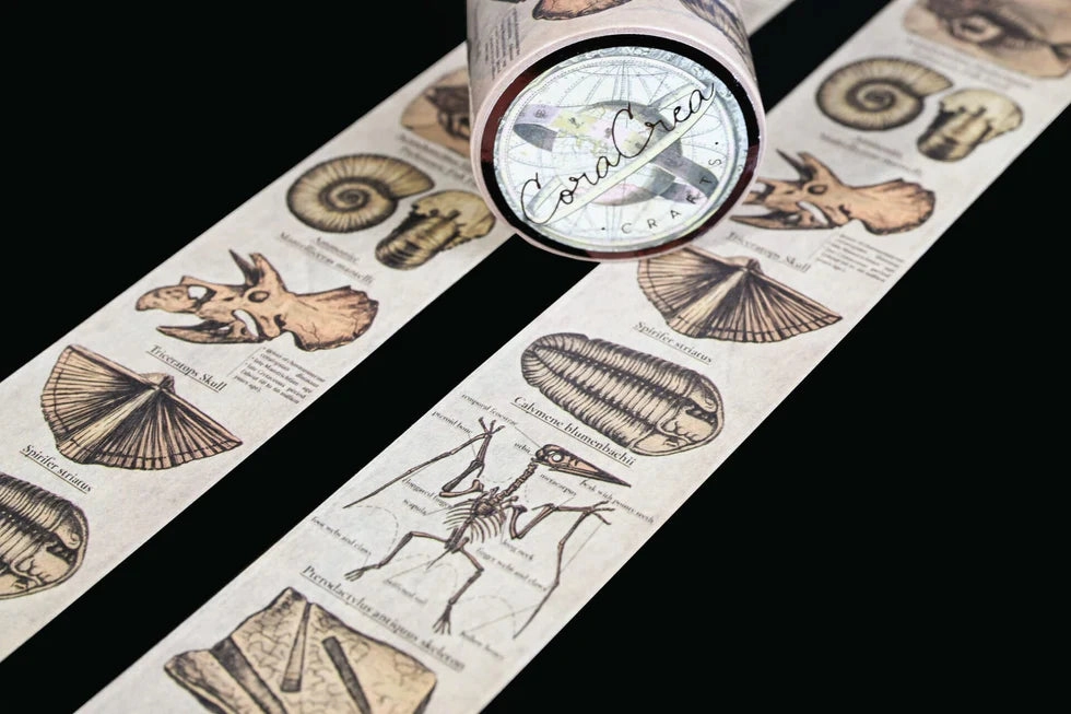Vintage Fossils Washi Tape paper luxury