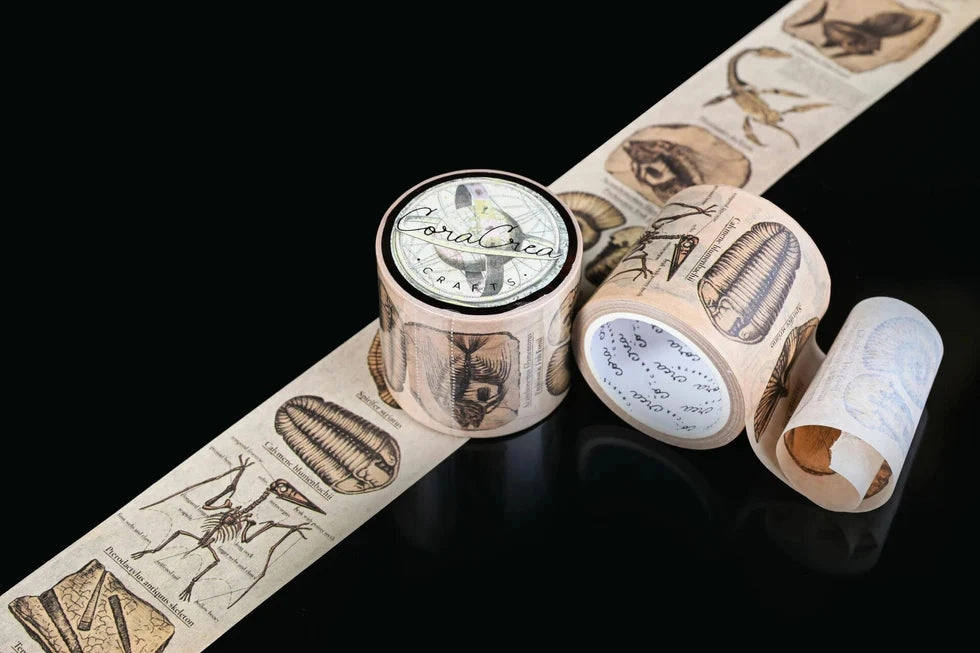 muted sleek Vintage Fossils Washi Tape