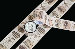 Vintage Fossils Washi Tape eco versatile