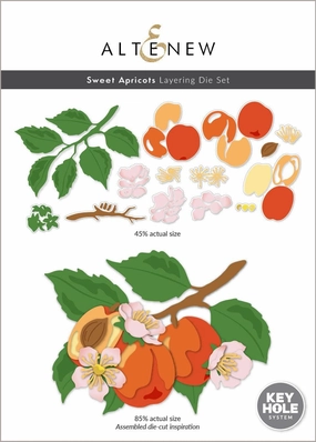 Sweet Apricots Layering Die Set solid