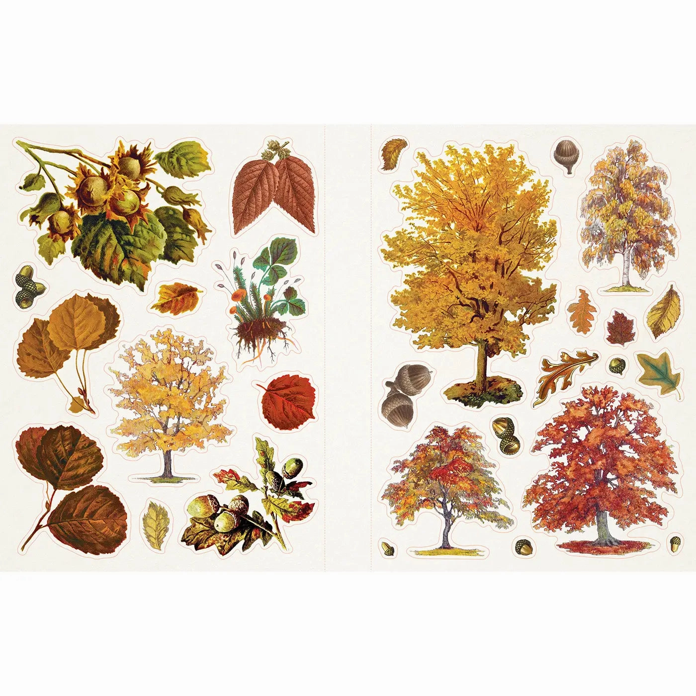 Sticker Emporium Cauldron Of Curiosities Sticker Book valuable bestselling