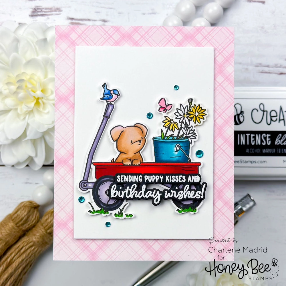 cool metal Dog Gone Amazing - 6X8 Clear Stamp Set
