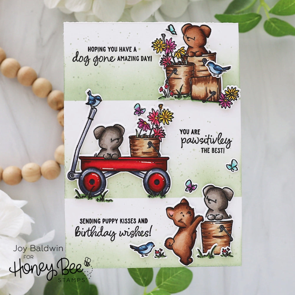 finest Dog Gone Amazing - 6X8 Clear Stamp Set