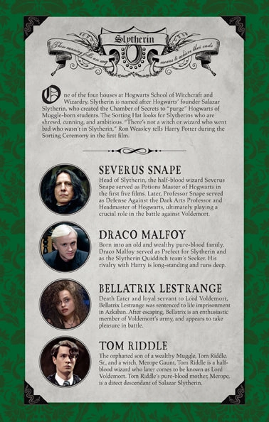 popular Harry Potter: Slytherin Ruled Notebook