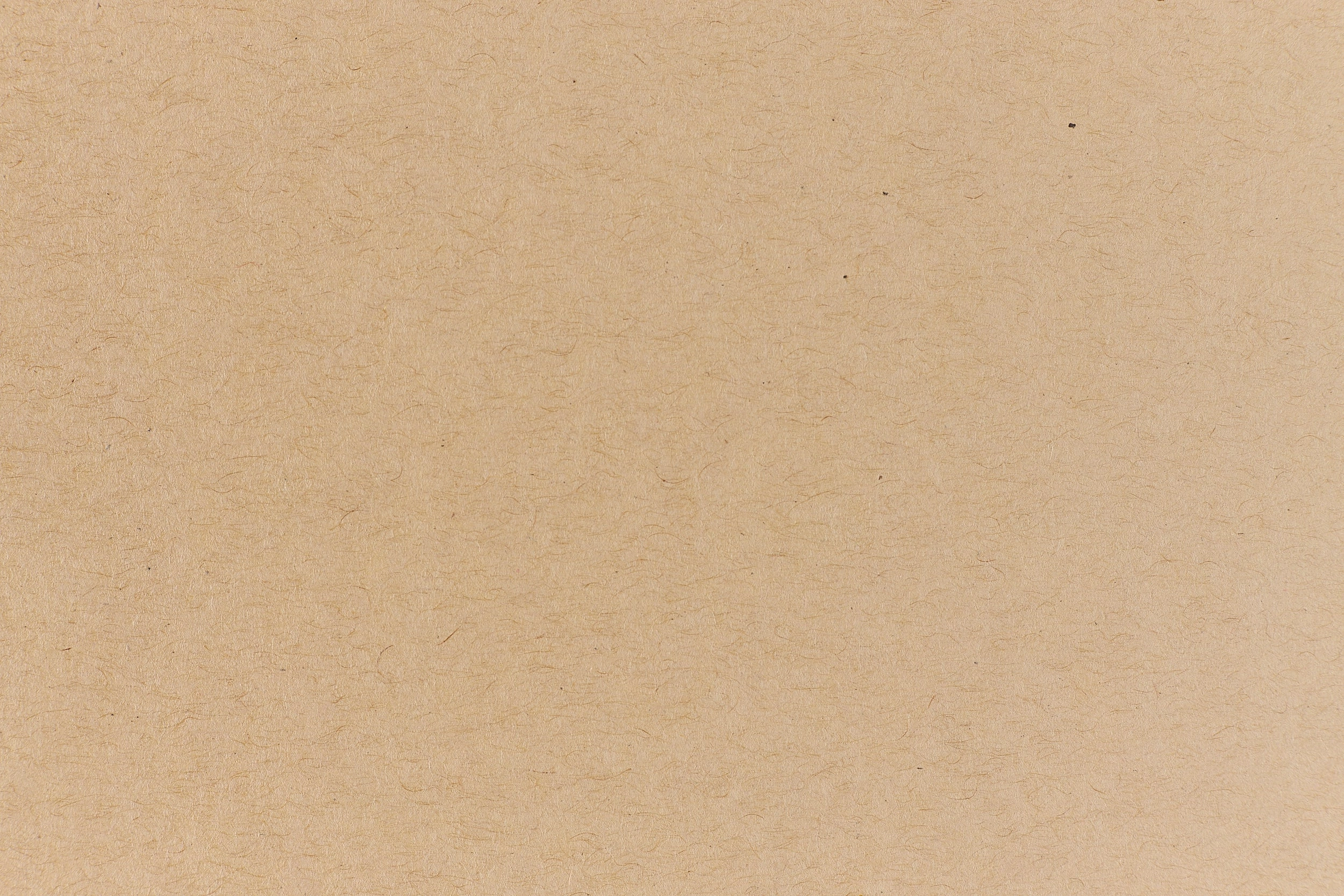 Kraft Cardstock (Speckletone, Cover Weight) alloy