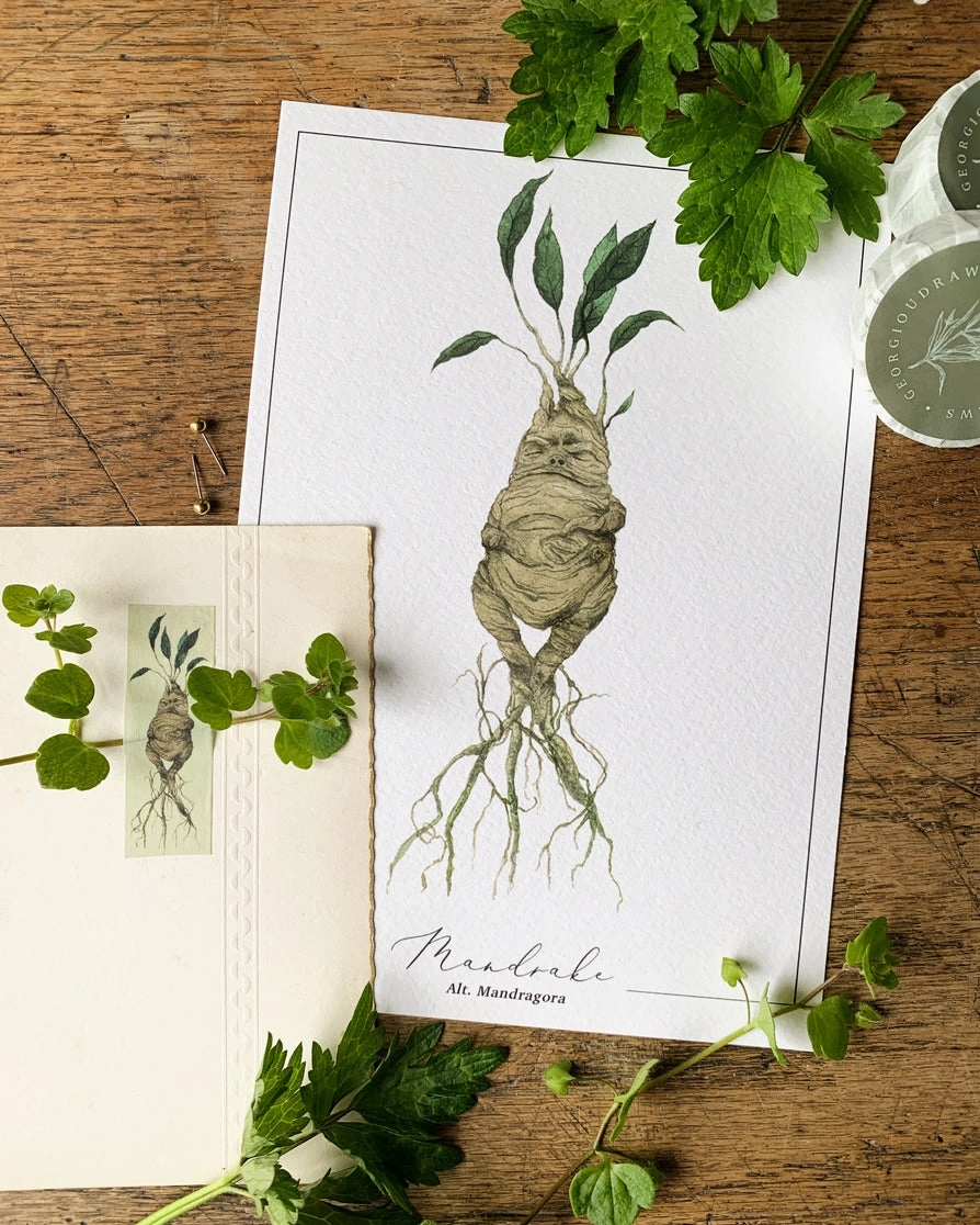 Magical Mandrake Herbology Washi Tape lightweight