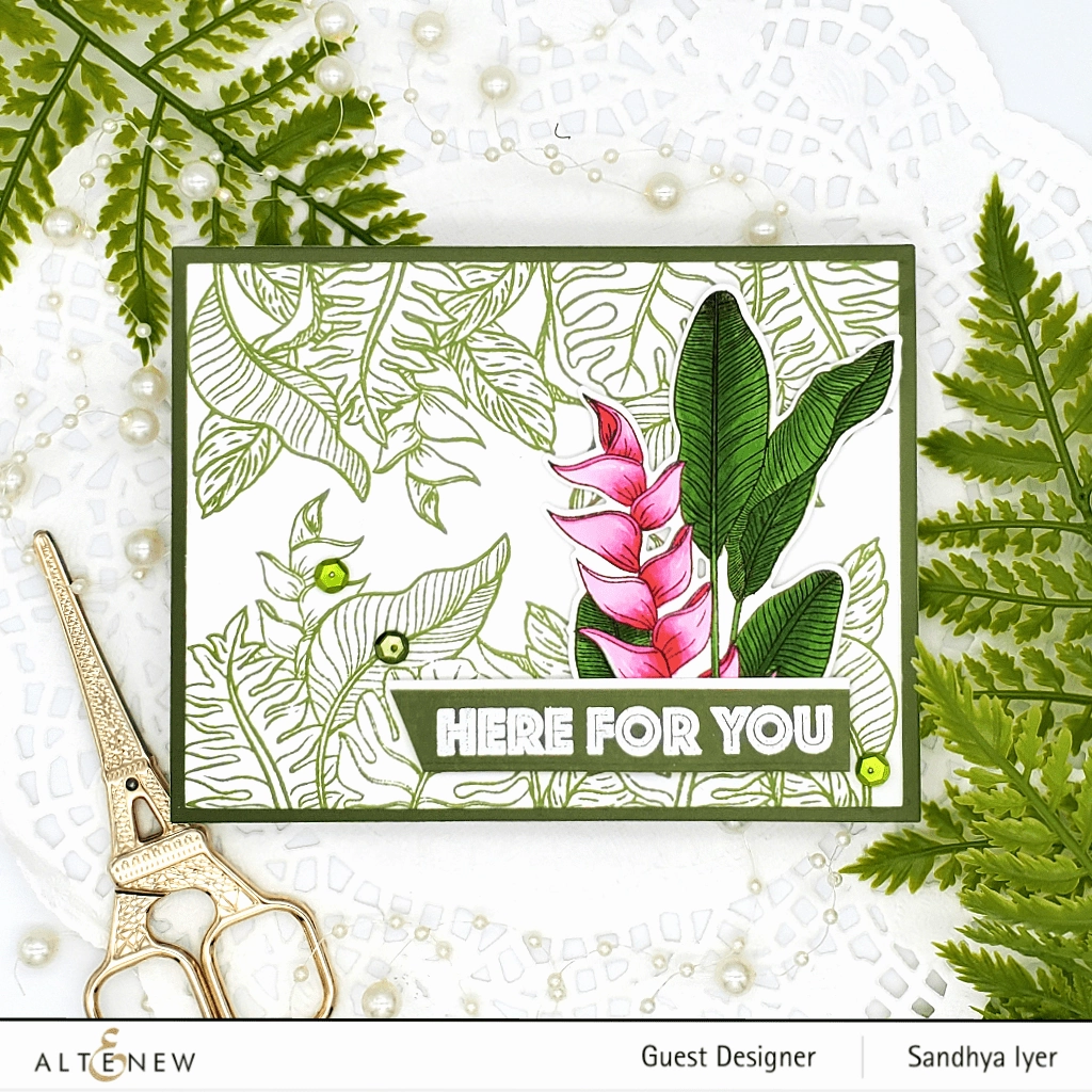 premium latest Tropical Jungle Die Set