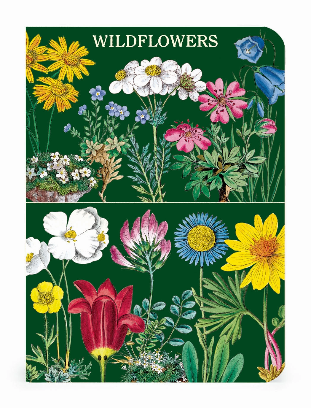 collectible Cavallini & Co. Wildflowers Mini Notebook Set