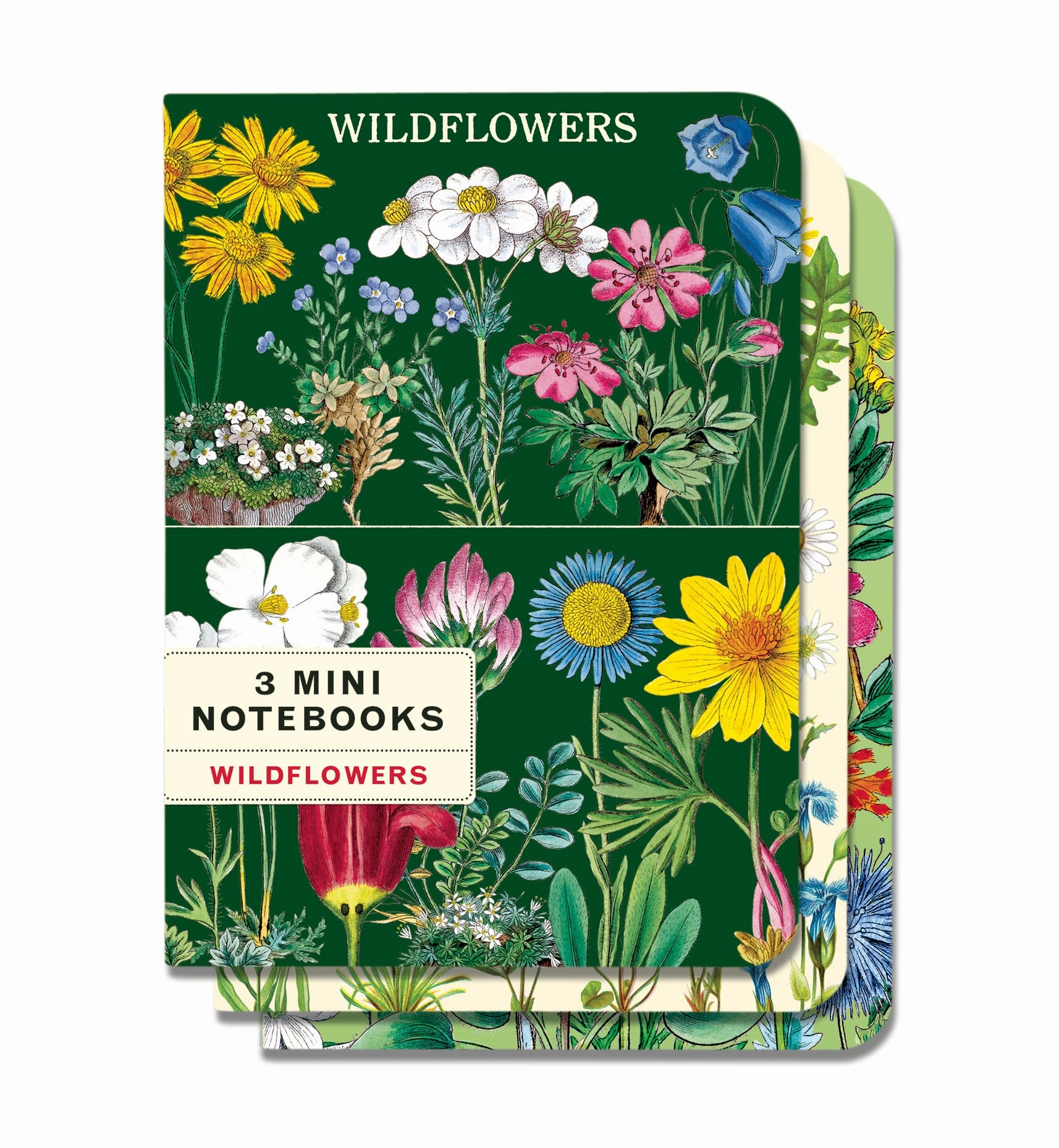 Cavallini & Co. Wildflowers Mini Notebook Set neutral
