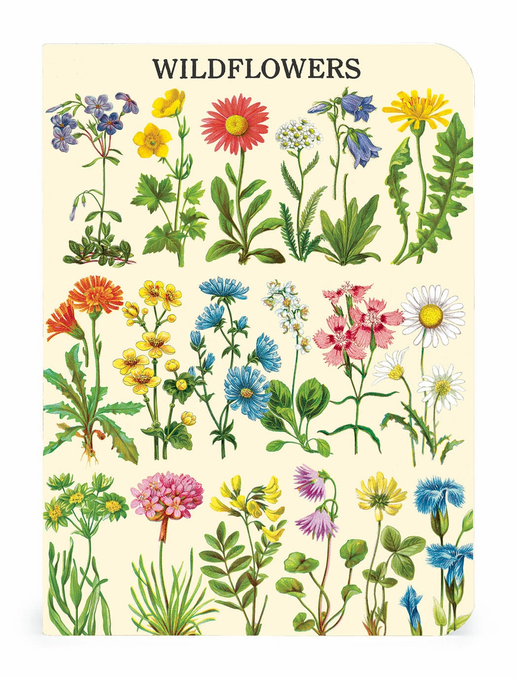 Cavallini & Co. Wildflowers Mini Notebook Set affordable