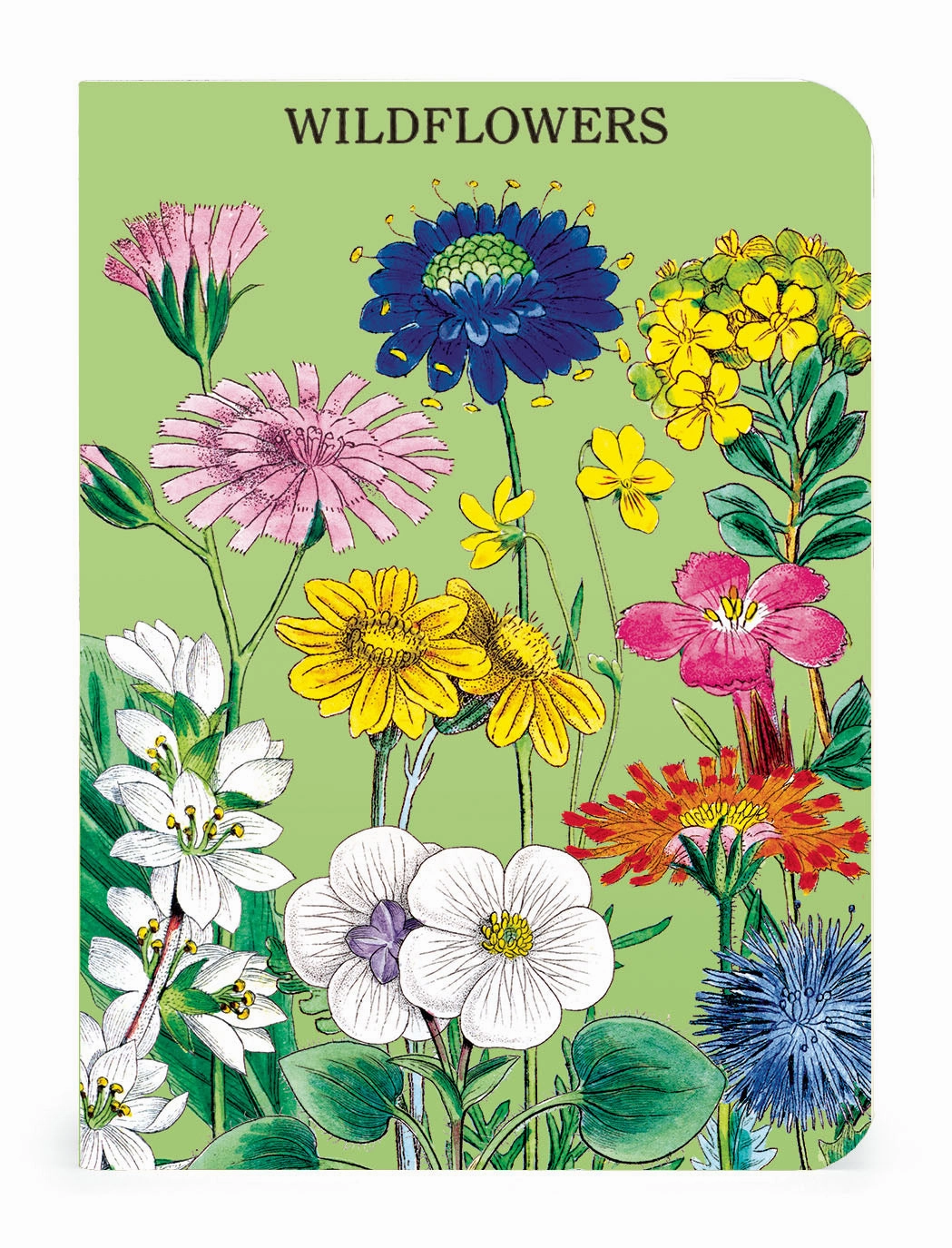 Cavallini & Co. Wildflowers Mini Notebook Set manual quickdry