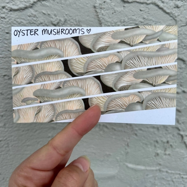 washable Oyster Mushroom Washi Tape