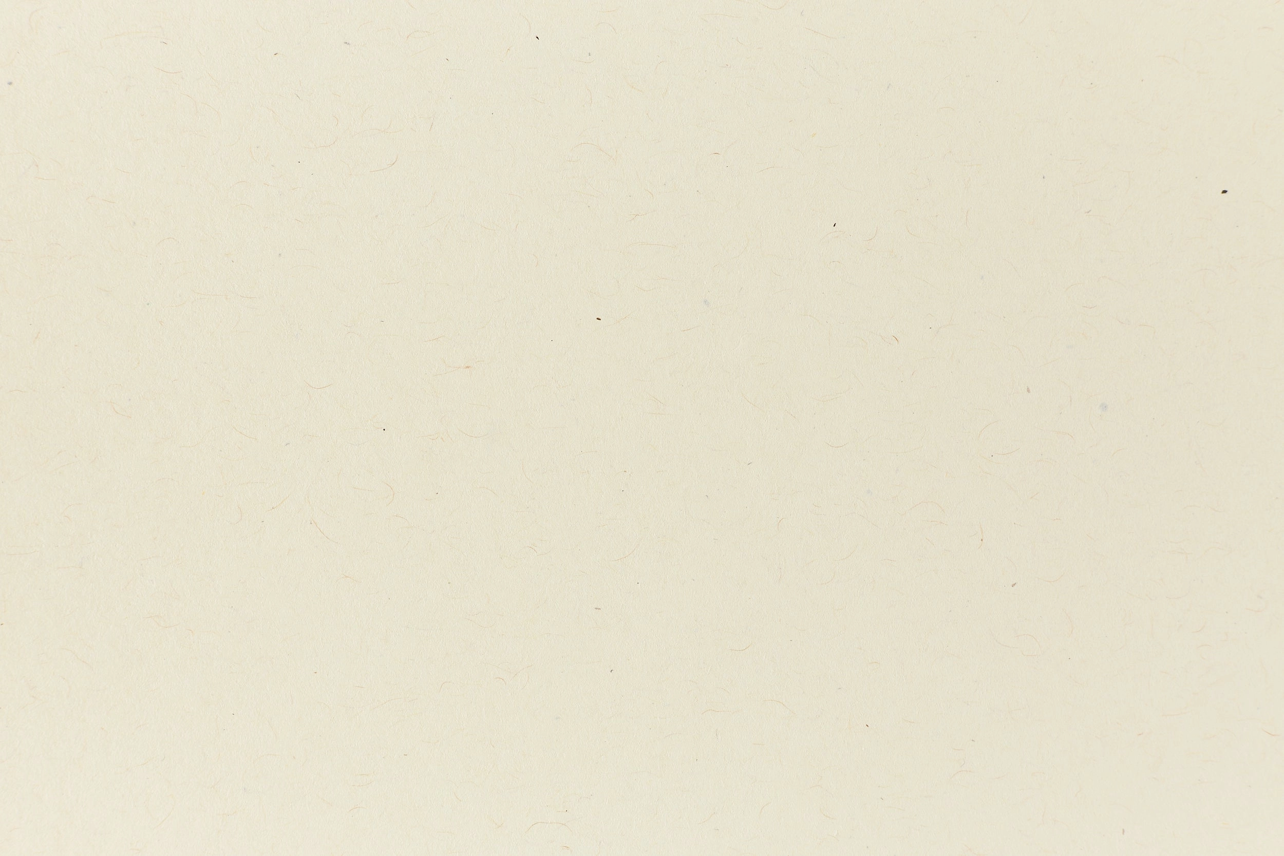 Index Off-White Kraft Cardstock (Kraft-Tone, Cover Weight) elegant bamboo