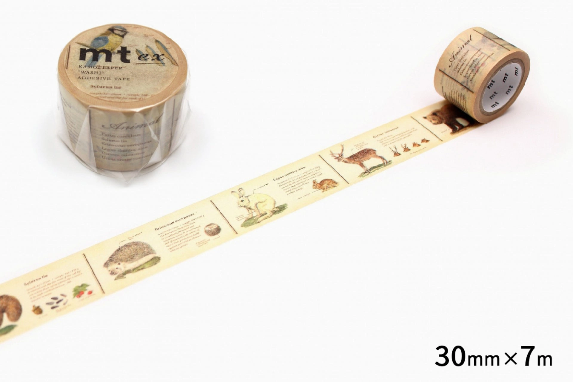 rugged valuable Mt Ex Washi Tape - Encyclopedia Animal