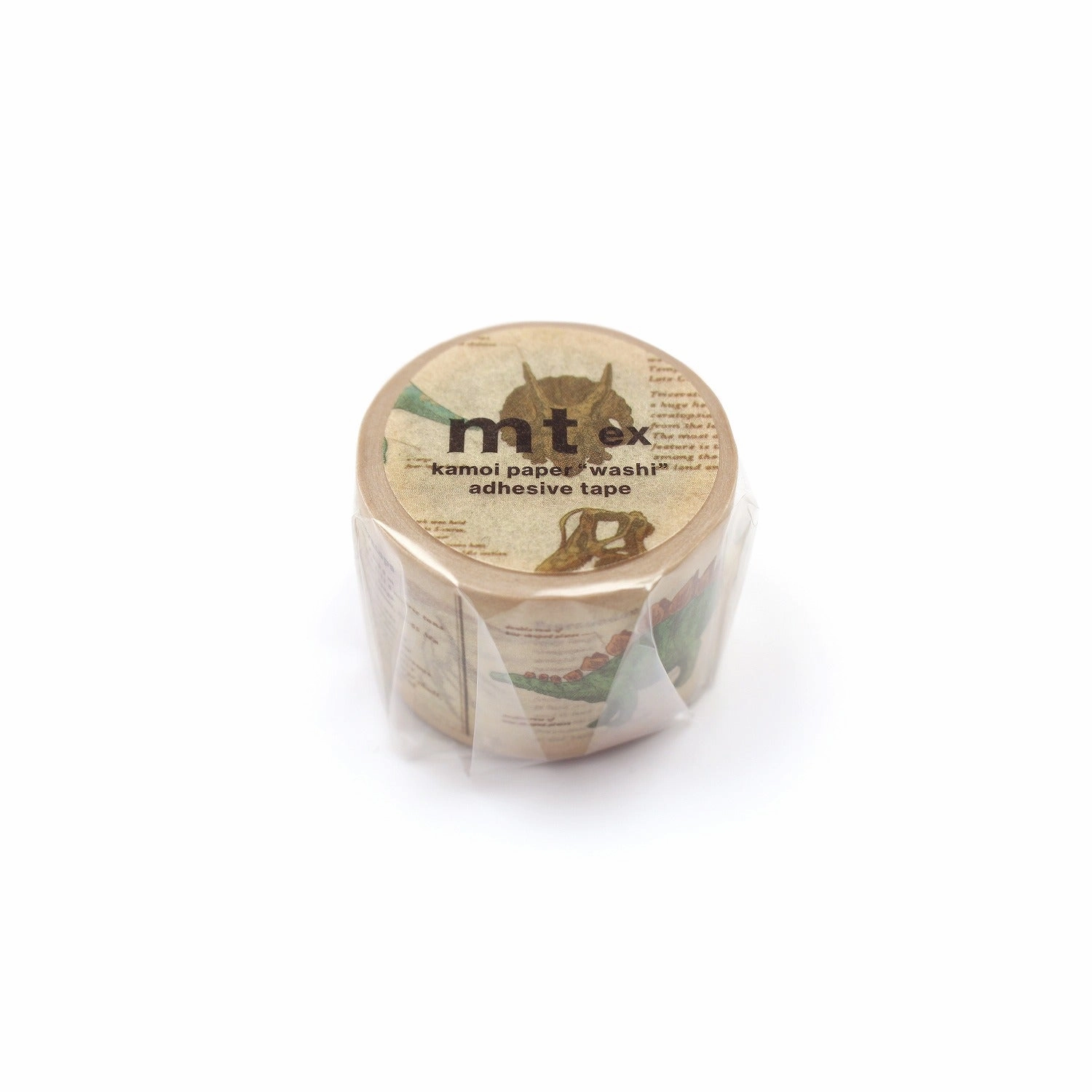 Mt Ex Washi Tape - Encyclopedia Dinosaur large