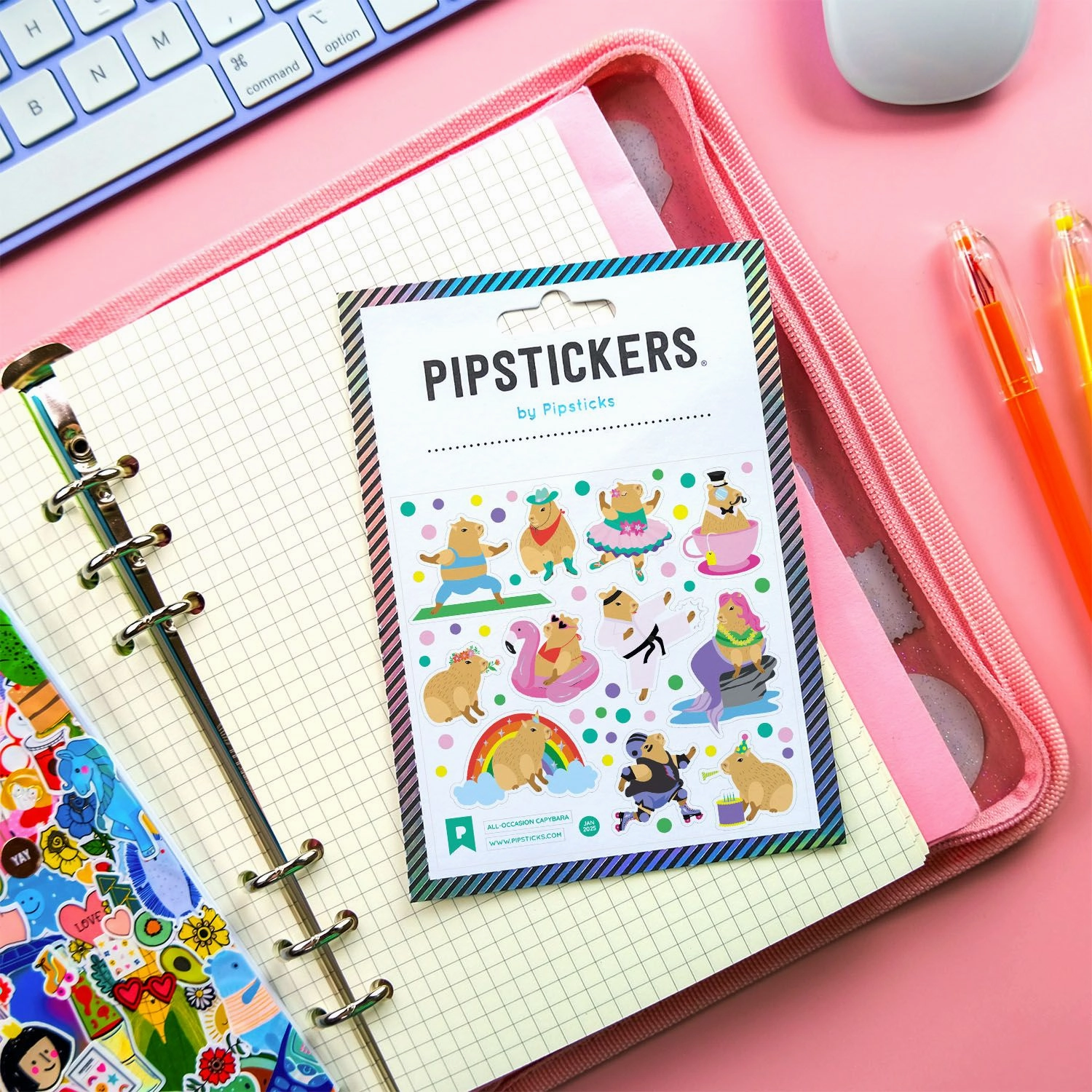 gift eco All-Occasion Capybara Stickers
