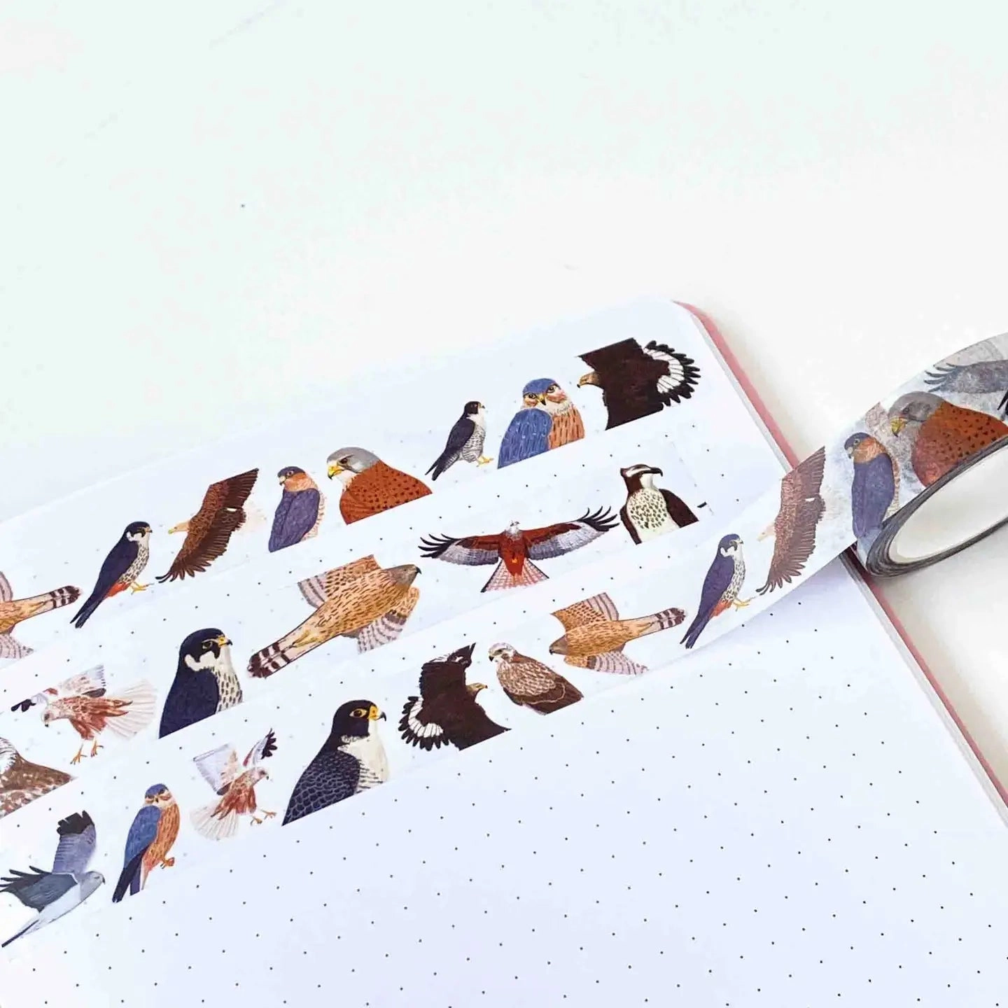 British Birds Of Prey Washi Tape limited pack