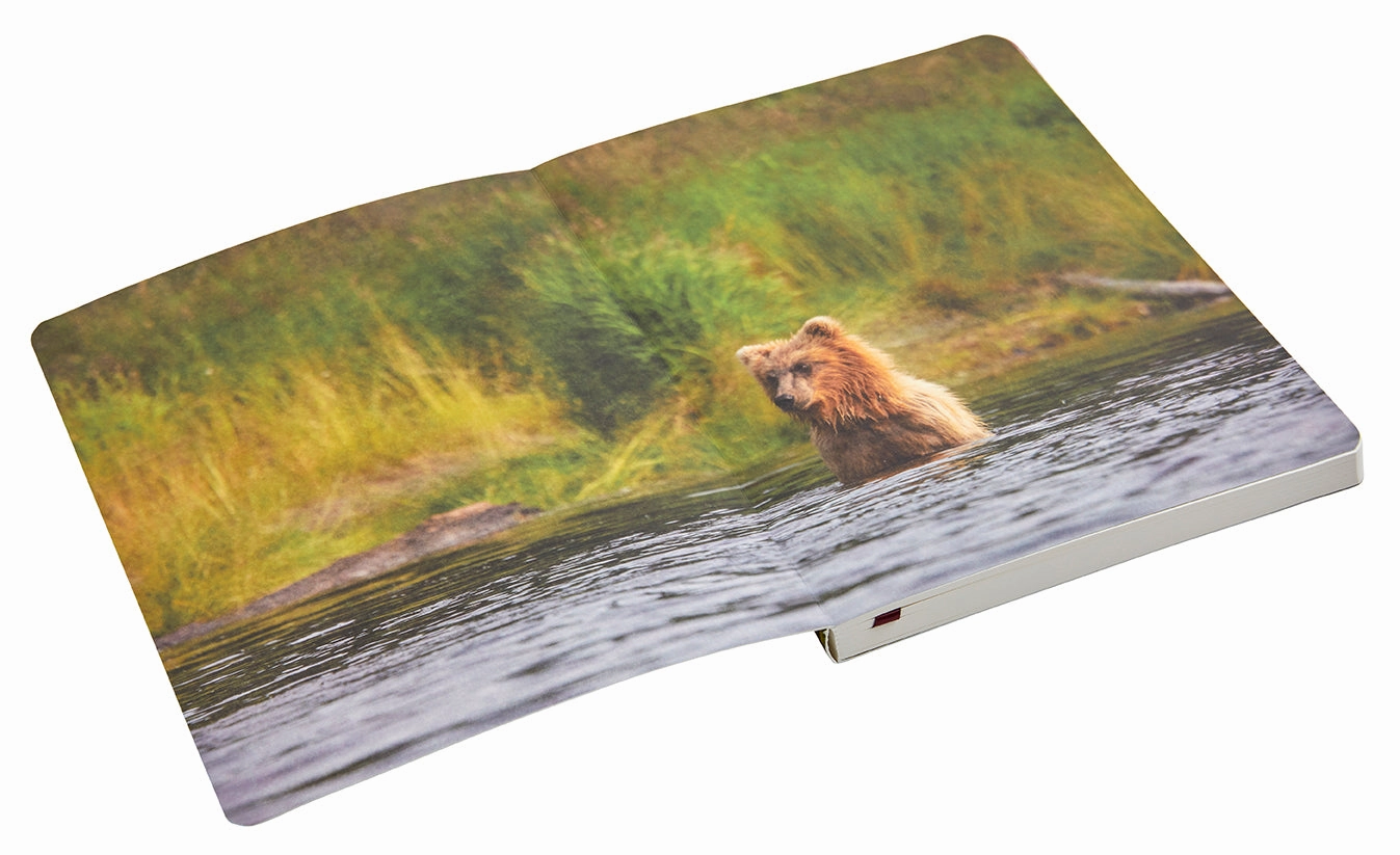 Refuge: Purple Fireweed Softcover Notebook cotton