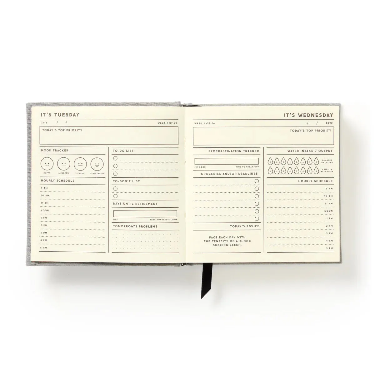 My Master Plan Productivity Guide robust elegant