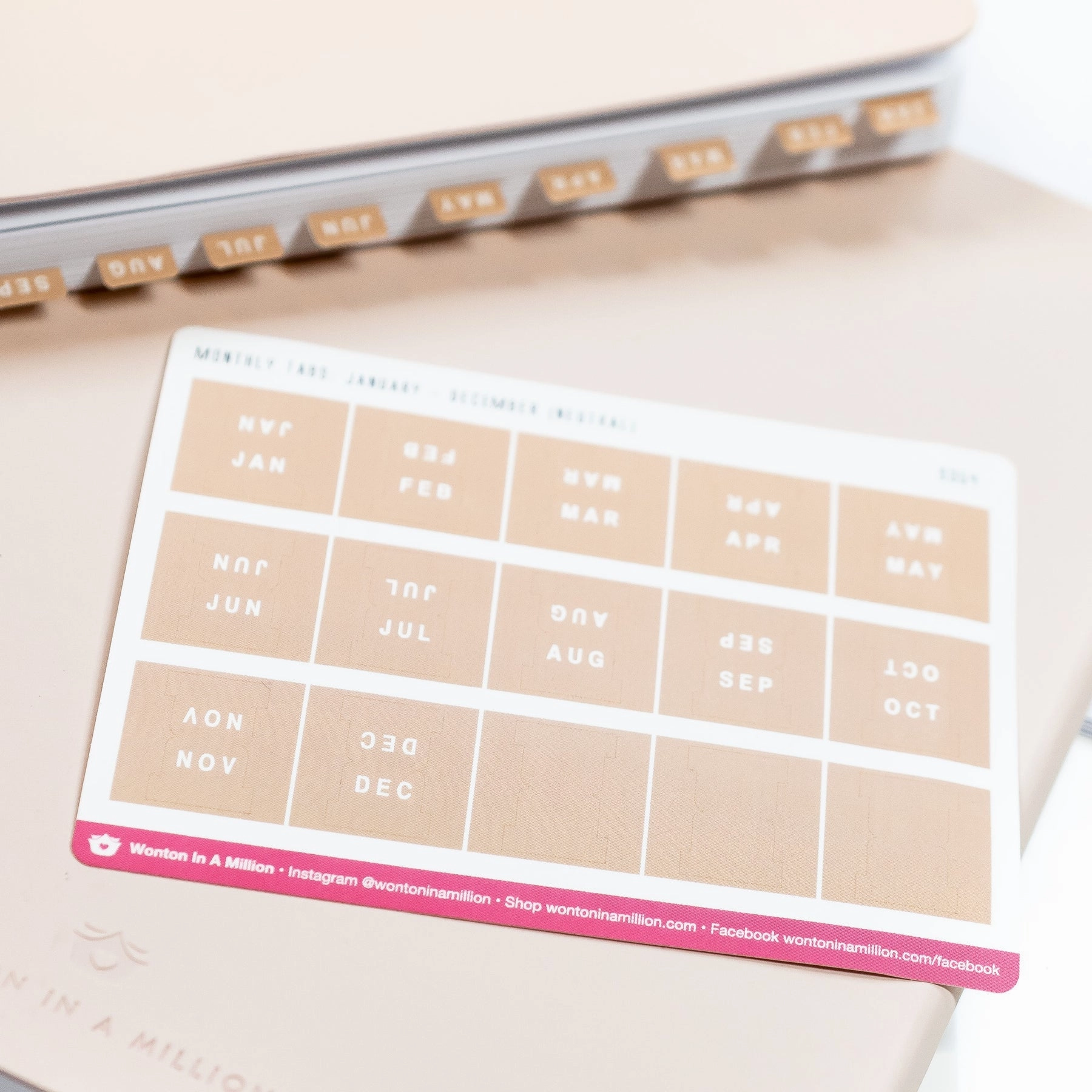 Neutral Monthly Tab Stickers special