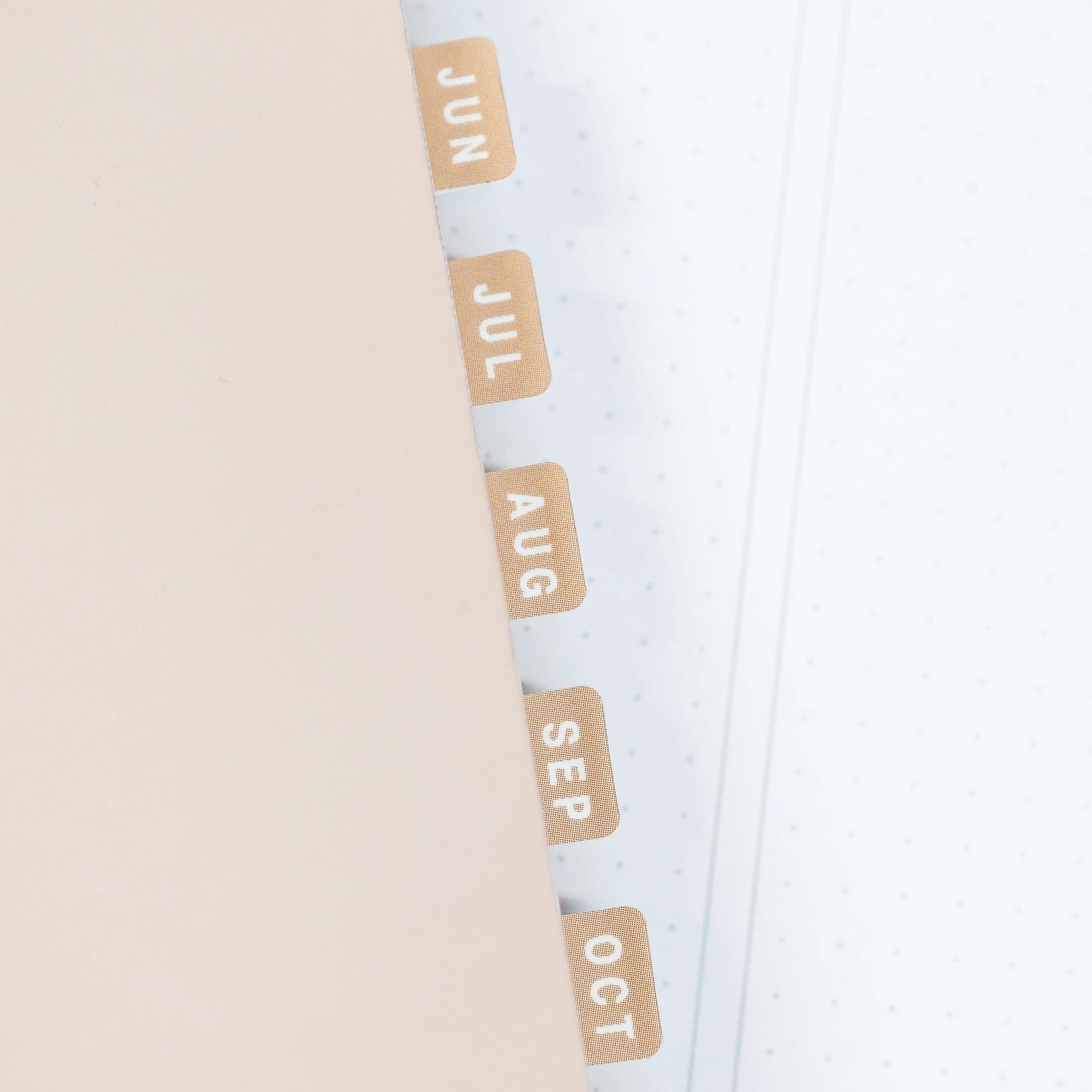 vintage gift Neutral Monthly Tab Stickers